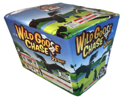 wild goose chase