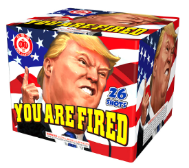 You Are Fired